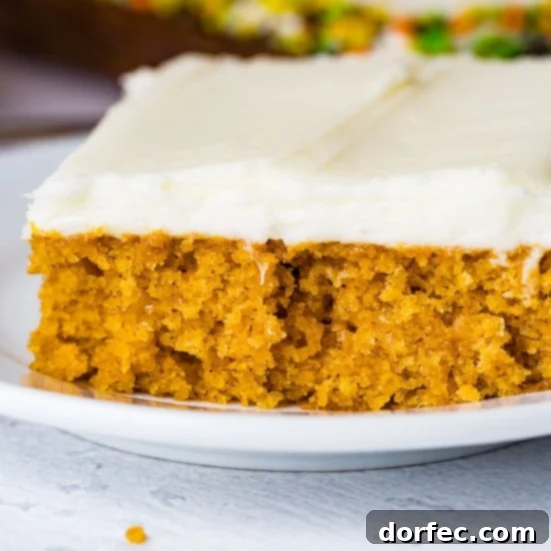 A large, fluffy Pumpkin Sheet Cake, perfect for feeding a crowd at any fall gathering