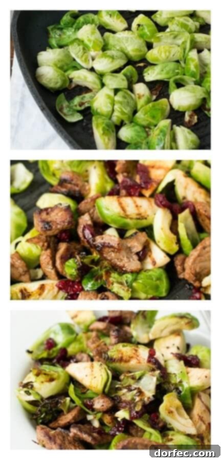 Close-up of Juicy Steak and Crispy Brussel Sprouts with Sweet Craisins - Healthy Dinner Idea