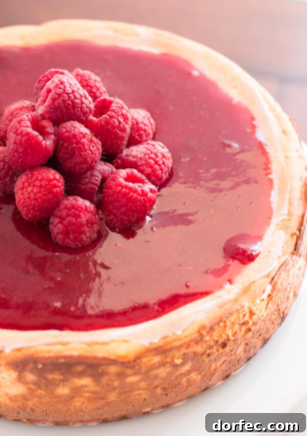 A slice of creamy Greek Yogurt New York Cheesecake with a generous swirl of brown sugar berry sauce.