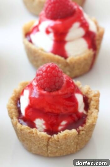 Delightful Mini Cheesecakes with Raspberry Sauce, a perfect small dessert.