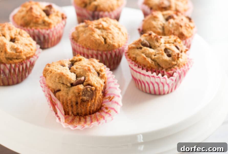 Easy Whole Wheat Biscoff Banana Muffins with Chocolate Chips - A Must-Try Family Recipe