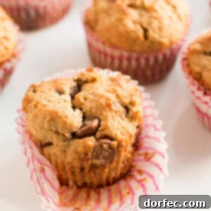 whole wheat biscoff banana muffins with chocolate chips! Our favorite muffin! ohsweetbasil.com