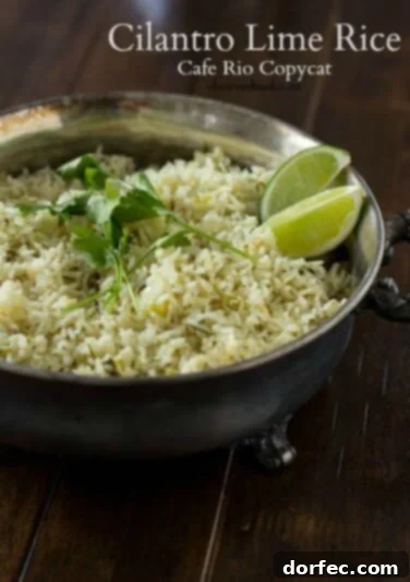 Cilantro Lime Rice cafe rio copycat recipe ohsweetbasil.com_