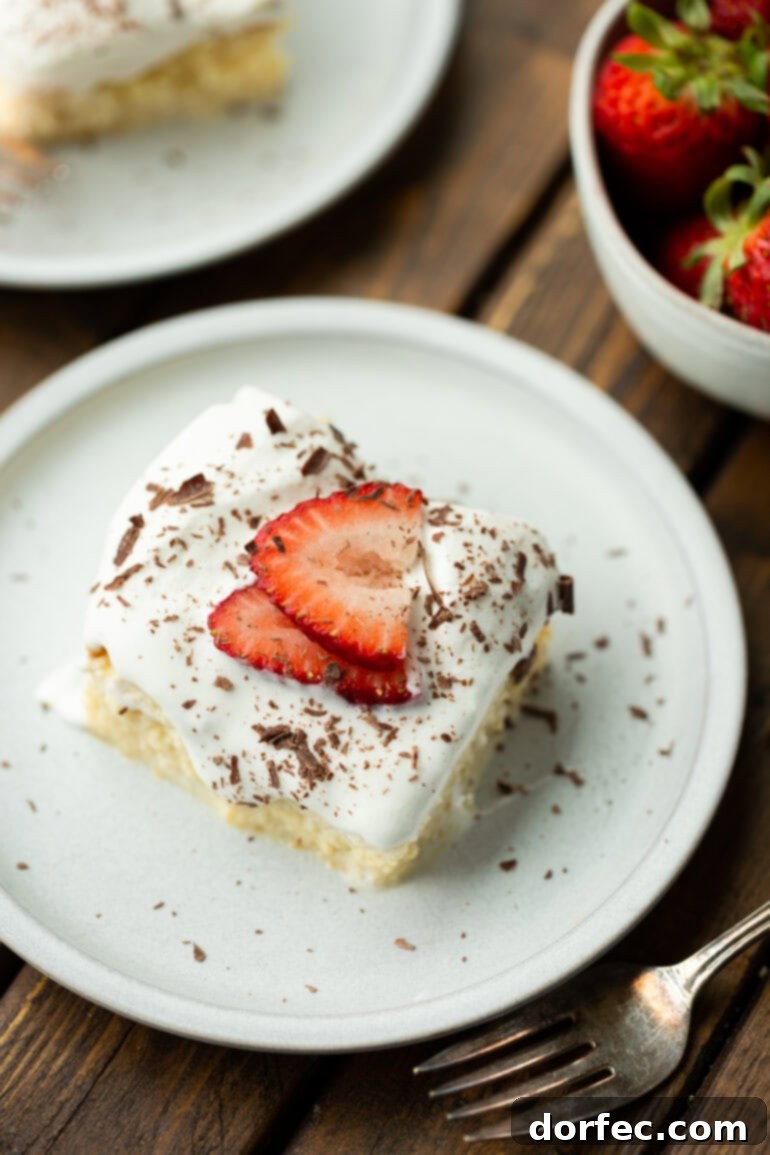 Tres Leches Cake The Creamy Three Milk Delight 6 A photo taken over the top of a serving of Tres Leches cake topped with whipped cream, sliced strawberries and shaved chocolate flakes, showcasing its vibrant appeal.