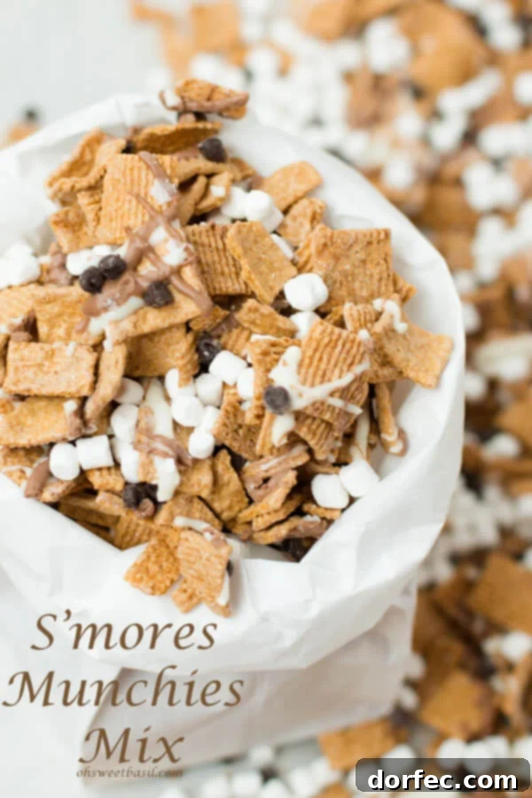 Delicious S'mores Munchies Snack Mix