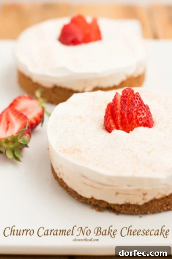 Luscious No-Bake Churro Cheesecake for a sweet treat Close-up of a No-Bake Churro Cheesecake with creamy filling and cinnamon crust, ready to be served
