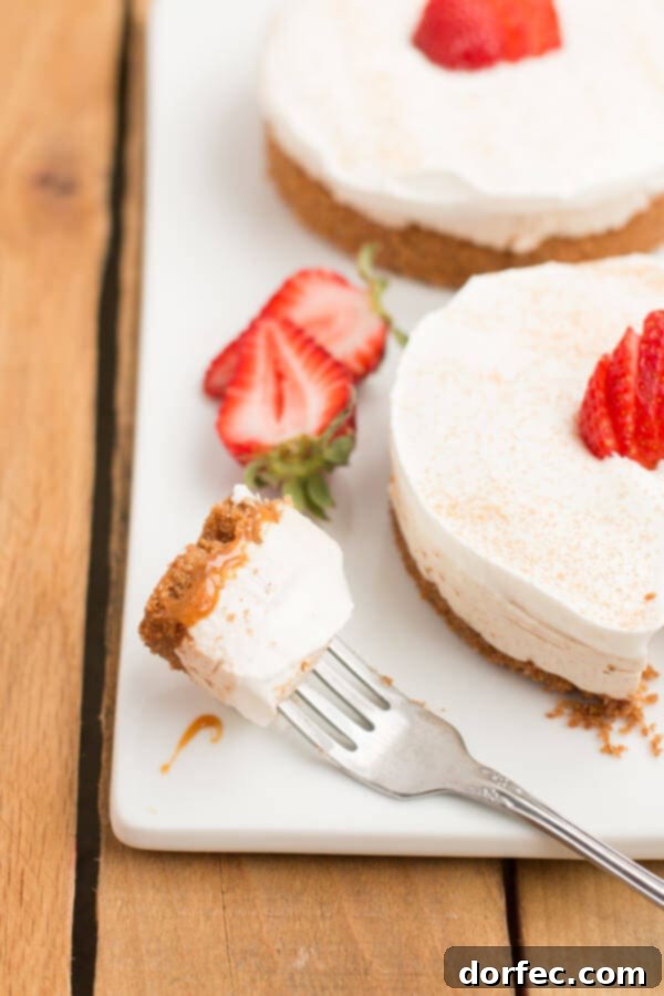 Delectable No-Bake Churro Cheesecake dessert Finished mini No-Bake Churro Cheesecakes, beautifully garnished with fresh strawberries and cinnamon sugar