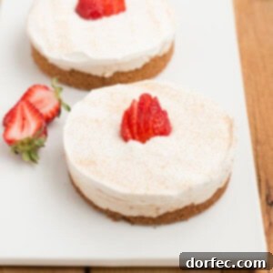 The creamiest no bake churro style cheesecakes with a hint of caramel yogurt