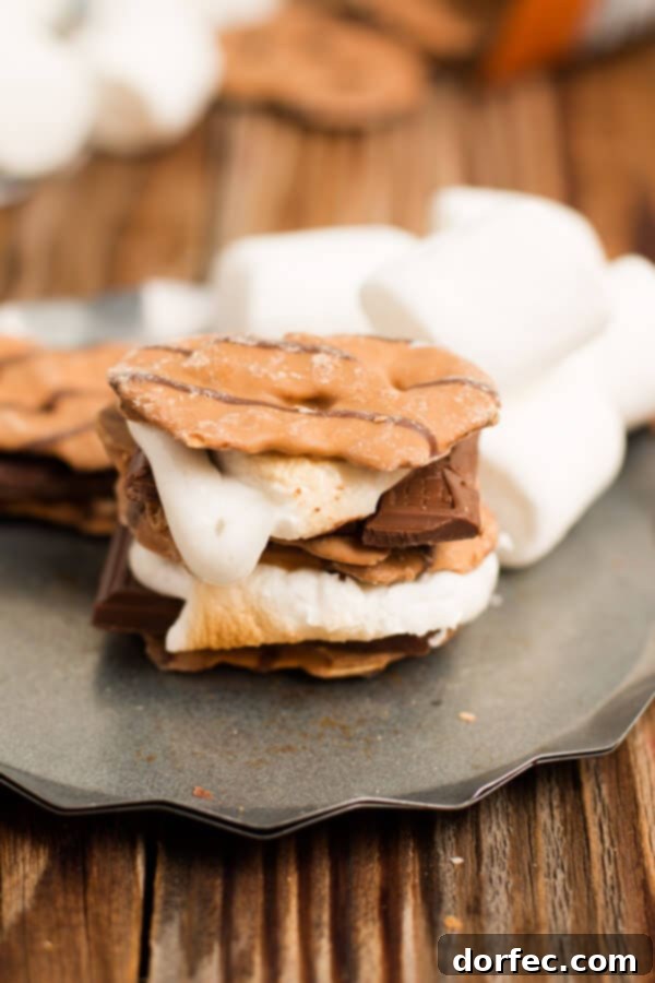 The BEST s'more I've ever had. Peanut butter pretzel crisps instead of grahams! ohsweetbasil.com chocolate, summer, camping dessert, camp food, marshmallow