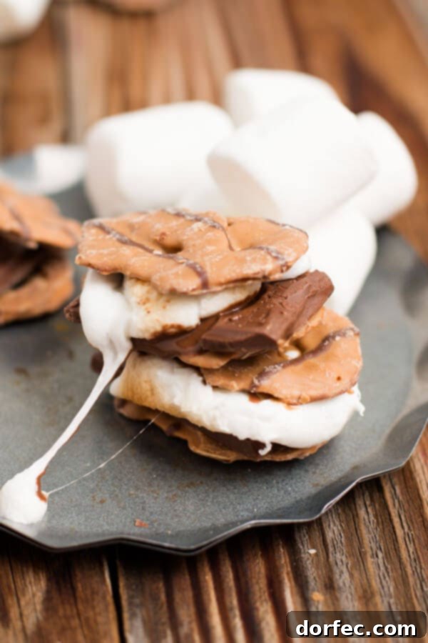 The BEST s'more I've ever had. Peanut butter pretzel crisps instead of grahams! ohsweetbasil.com chocolate, summer, camping dessert, camp food, marshmallow
