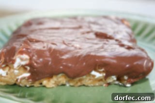 gooey peanut butter s'mores rice krispies ohsweetbasil.com