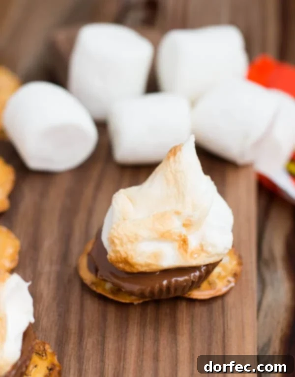 Homemade Pretzel Reese's S'mores for Sweet and Salty Indulgence Pretzel Crisps Reese's S'more: A Creative Twist on Classic Campfire S'mores