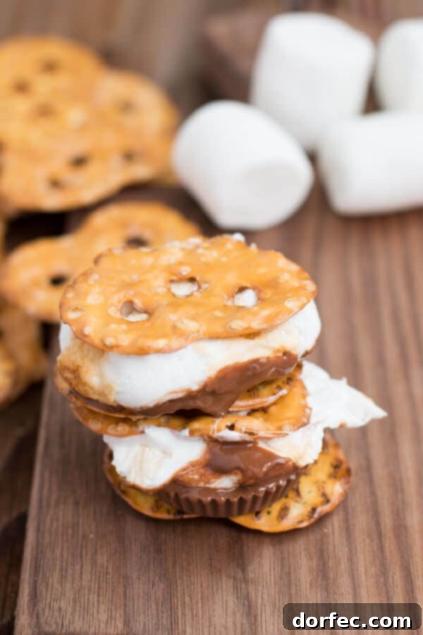 Easy Pretzel Reese's S'mores Recipe for Any Occasion Making Pretzel Reese's S'mores at a Campfire for Outdoor Fun