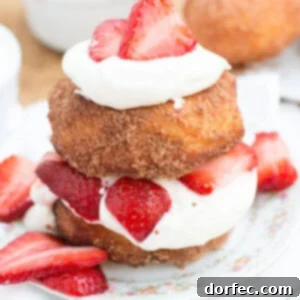 The most killer deep fried strawberry shortcake ohsweetbasil.com