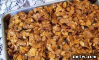 Honey Bunches of Oats Crunchy Granola Bars 4 Cereal Bars