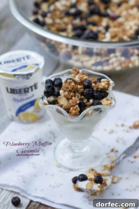 Honey Bunches of Oats Crunchy Granola Bars 5 Blueberry Muffin Granola with Lemon Liberte yogurt for the perfect breakfast or yummy snack ohsweetbasil.com-4