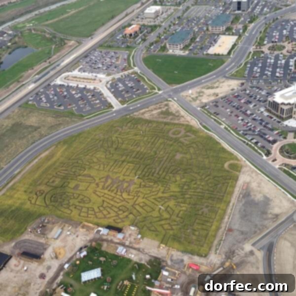 An aerial view of an intricate corn maze, a classic fall activity for families and adventurers.