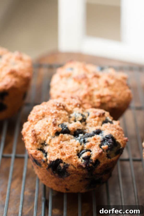 Close-up of fluffy whole wheat blueberry muffins with oat flour, highlighting their golden tops and tender interior. A wholesome, egg-free recipe.