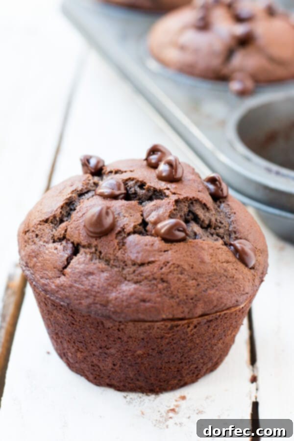 The Ultimate Double Chocolate Banana Muffins Beautifully arranged double chocolate banana muffins on a rustic serving platter, showcasing their rich color and delightful texture.