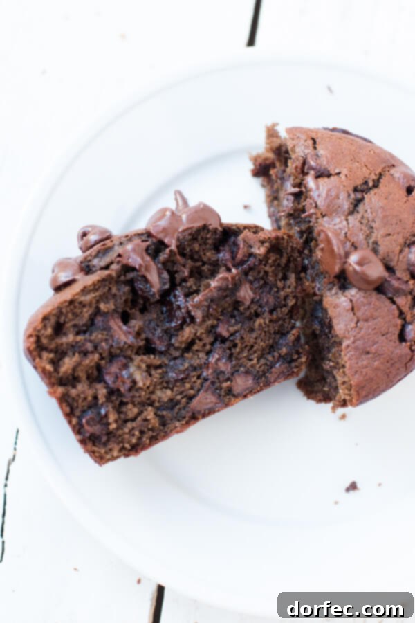 Double Chocolate Banana Muffins: The Ultimate Recipe A close-up shot of the raw batter for double chocolate banana muffins, showing the blend of cocoa and mashed bananas, studded with chocolate chips.
