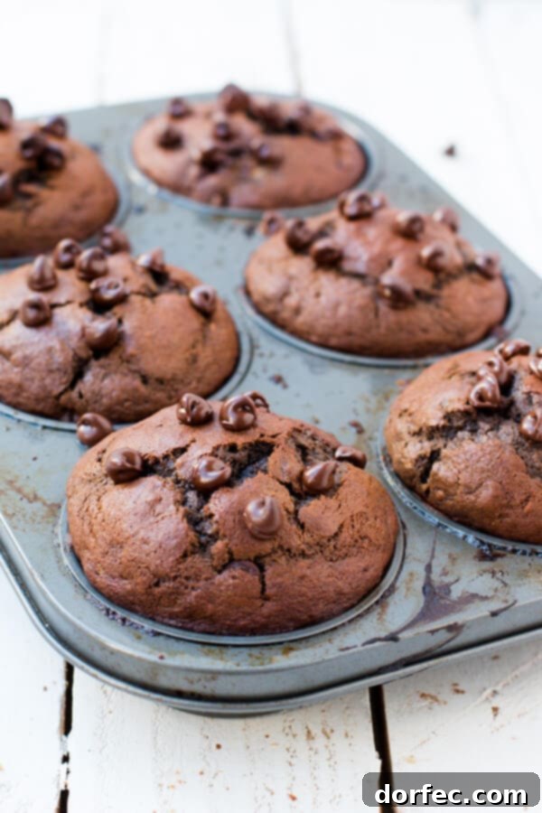 Homemade Double Chocolate Banana Muffins Freshly baked double chocolate banana muffins cooling on a wire rack, steam gently rising, promising a tender interior.