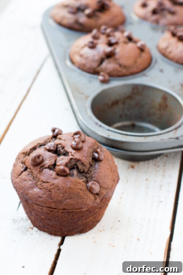Moist Double Chocolate Banana Muffins A stack of warm double chocolate banana muffins, ready to be enjoyed with a cup of coffee or milk.