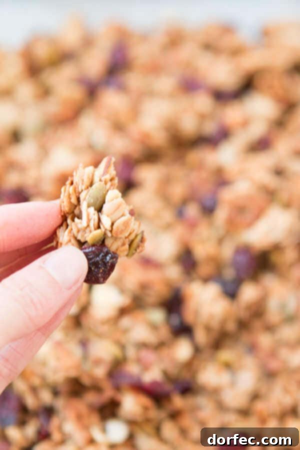 Healthy Strawberry Almond Granola Recipe A bowl of fresh strawberry almond granola, perfect for a nutritious and energizing start to your day. Enjoy homemade goodness!