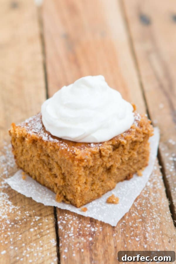 Delicious Pumpkin Pie Cake 4 Pumpkin Pie Cake fresh out of the oven, ready to be served