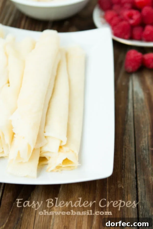 Easy Blender Crepes Easy Blender Crepes