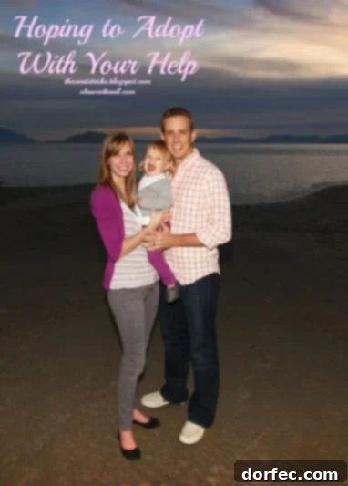 Our road to adoption. Adoption often comes through word of mouth and this sweet family needs your help. Please repin, you never know who might see it. ohsweetbasil.com