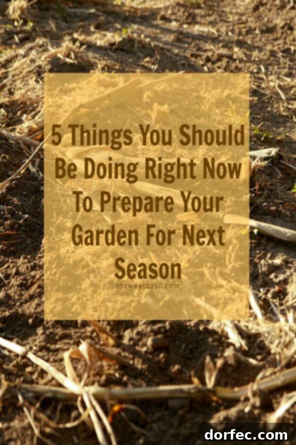 Essential Winter Garden Prep for a Bountiful Next Season Preparing your garden for winter is crucial for a bountiful next season. An image showing a thriving garden with colorful plants, representing future growth and health.
