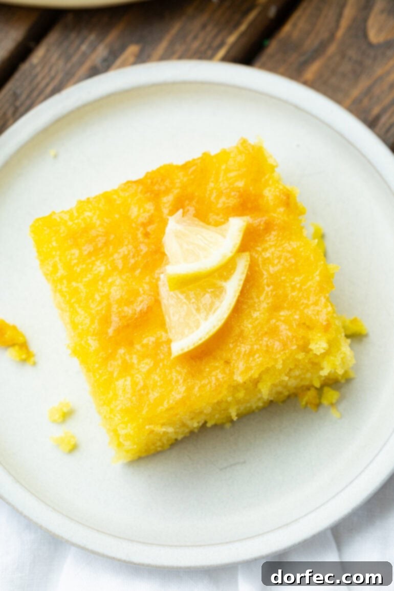 An overhead shot of a slice of Lemon Jello Cake garnished with small, delicate lemon slices, highlighting its fresh appeal.