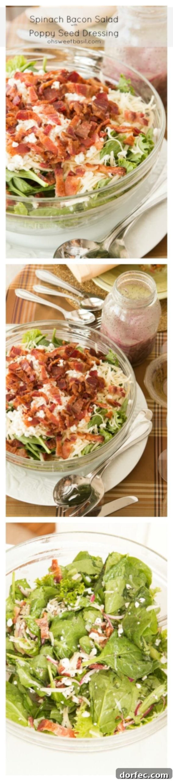 A close-up shot of the vibrant spinach and bacon salad ingredients, highlighting the fresh greens, crispy bacon, and creamy cheese textures before being tossed.