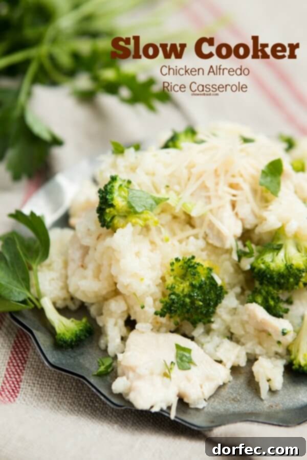 Delicious Slow Cooker Chicken Alfredo Rice Casserole with fresh herbs
