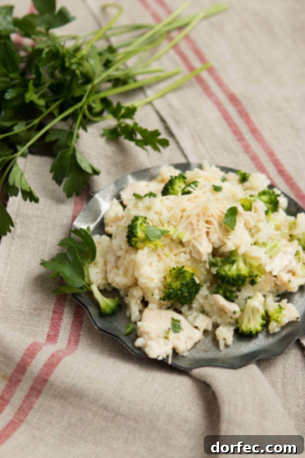 Ready-to-eat Slow Cooker Chicken Alfredo Rice Casserole with parsley