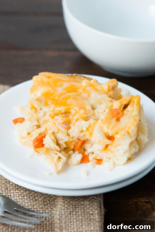 Quick and Easy Chicken and Rice Casserole recipe for busy evenings