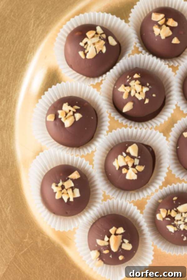 Chocolate Peanut Butter Truffles on OhSweetBasil.com