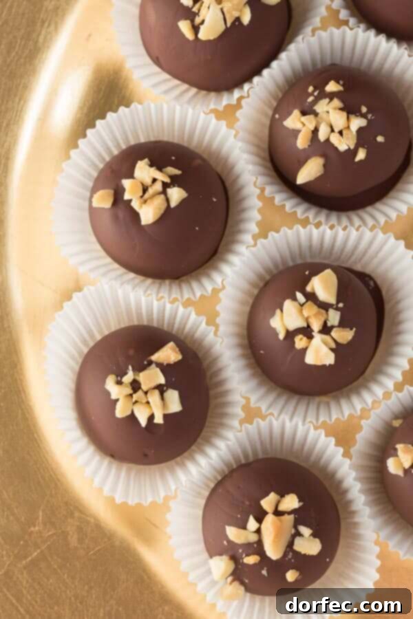 Chocolate Peanut Butter Truffles on OhSweetBasil.com