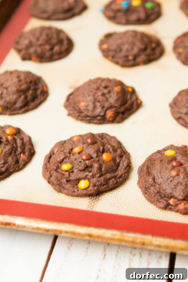 A close-up shot emphasizing the perfect bake and generous toppings of the Chocolate Reese's Pieces Cookies. Text overlay reads: I can't eat these fast enough! Chocolate Reese's Pieces Cookies ohsweetbasil.com