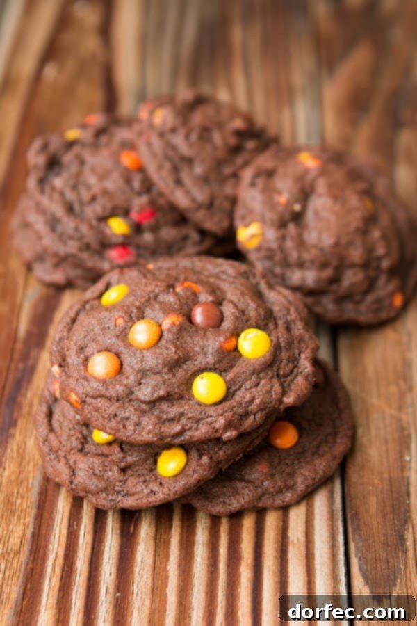 An enticing image of Chocolate Reese's Pieces Cookies, designed to make viewers crave them instantly. Text overlay reads: I can't eat these fast enough! Chocolate Reese's Pieces Cookies ohsweetbasil.com