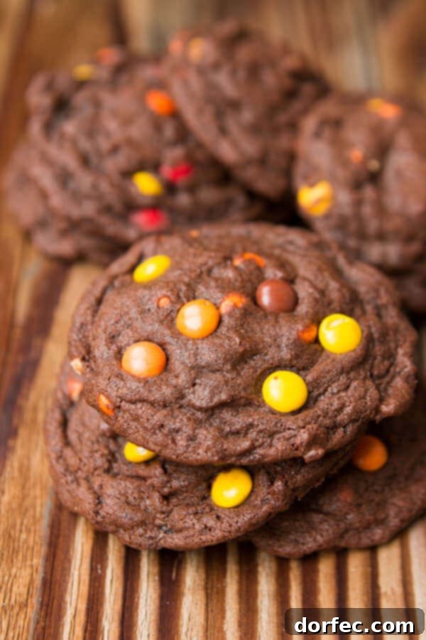 A beautifully arranged photo of Reese's Triple Chocolate Cookies, highlighting their mouth-watering appeal. Text overlay reads: I can't eat these fast enough! Chocolate Reese's Pieces Cookies ohsweetbasil.com