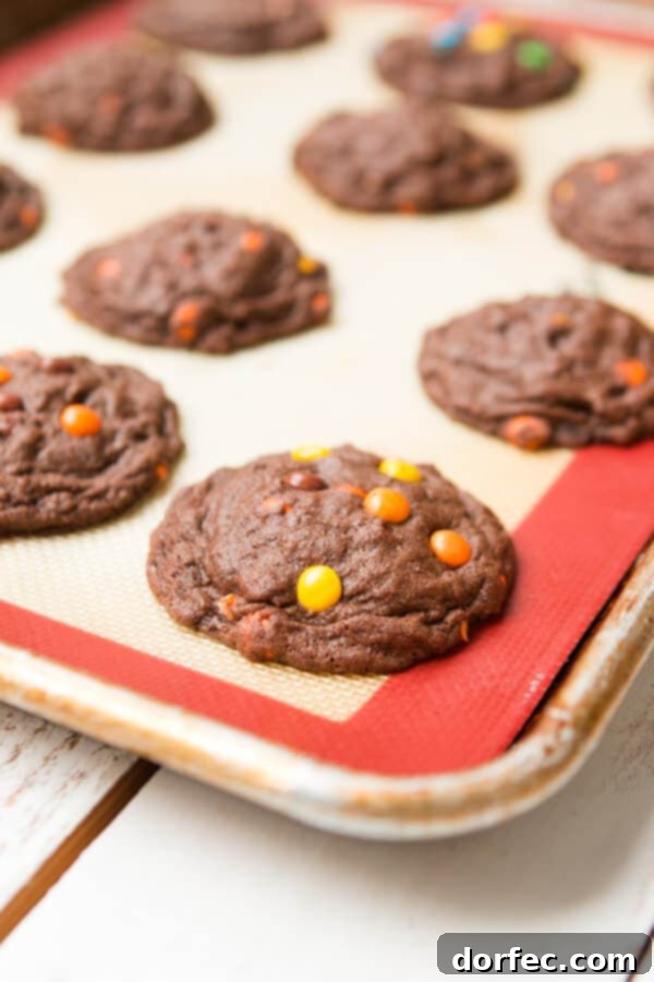 A high-quality image showcasing the irresistible texture and rich ingredients of the Chocolate Reese's Pieces Cookies. Text overlay reads: I can't eat these fast enough! Chocolate Reese's Pieces Cookies ohsweetbasil.com