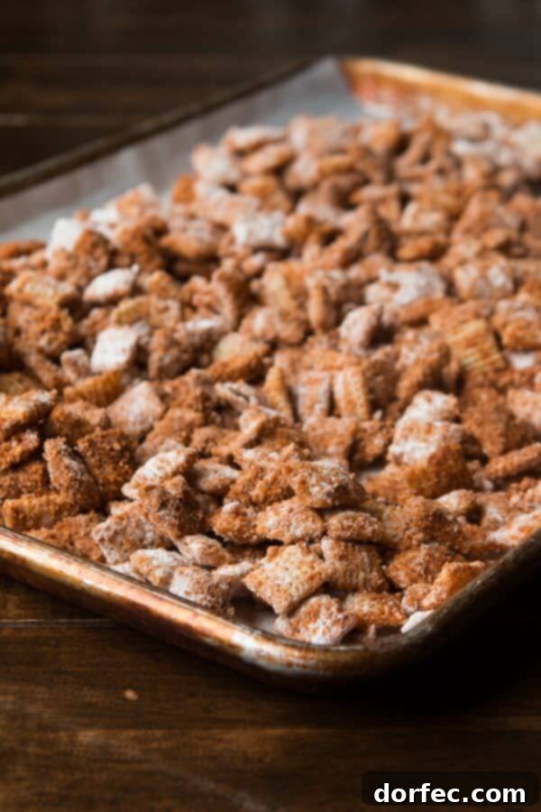 The best version of the famous churro chex snack mix by ohsweetbasil.com, showcasing its delicious texture and vibrant cinnamon coating.