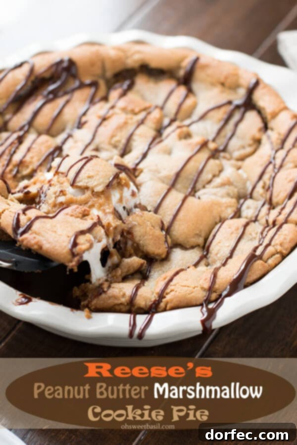 Best Recipes and Posts of 2014 13 Decadent Reese's Peanut Butter Cookie Pie, a family favorite dessert combining cookies and peanut butter.