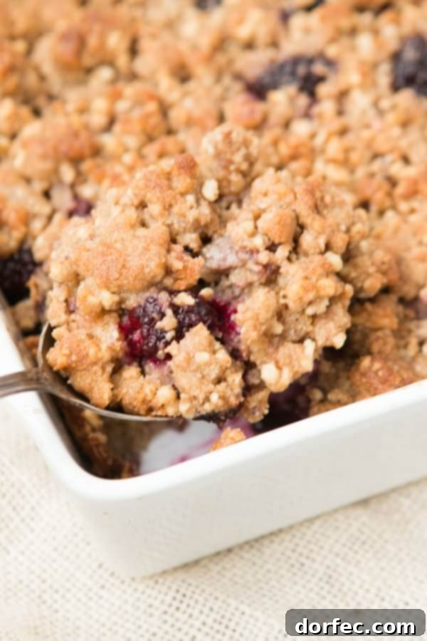 Serveable Blackberry Cobbler Baked Oatmeal with Walnut Crumble Side view of a serving of Blackberry Cobbler Baked Oatmeal in a bowl, garnished with a sprig of mint, ready to be enjoyed.