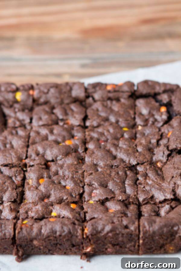 Easy Triple Fudge Reese's Brownies ohsweetbasil.com Easy Triple Fudge Reese's Brownies ohsweetbasil.com