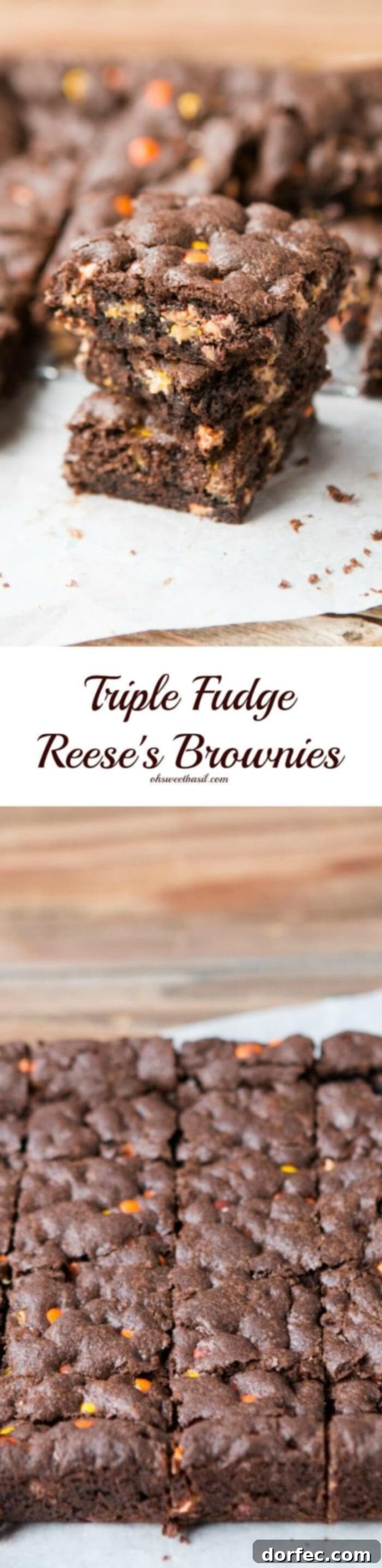 Triple Fudge Reese's Brownies 3 Triple Fudge Reese's Brownies ohsweetbasil.com