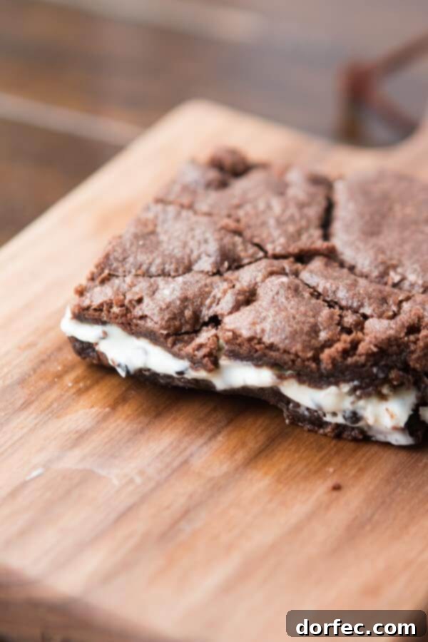 Triple Fudge Reese's Brownies 5 Cookies and Cream Brownies are my new love ohsweetbasil.com