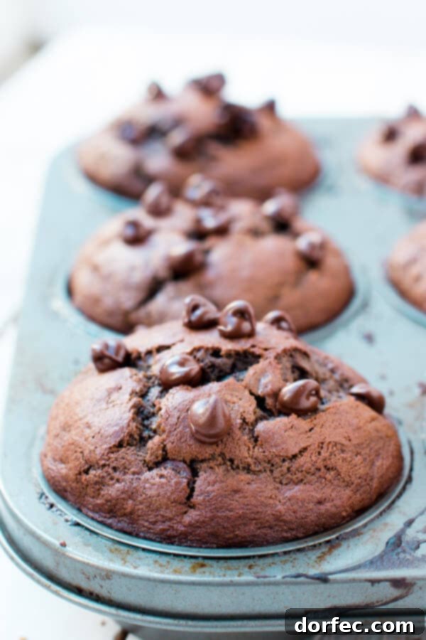 Glazed Poppy Seed Loaf 13 Delicious Double Chocolate Banana Muffins!