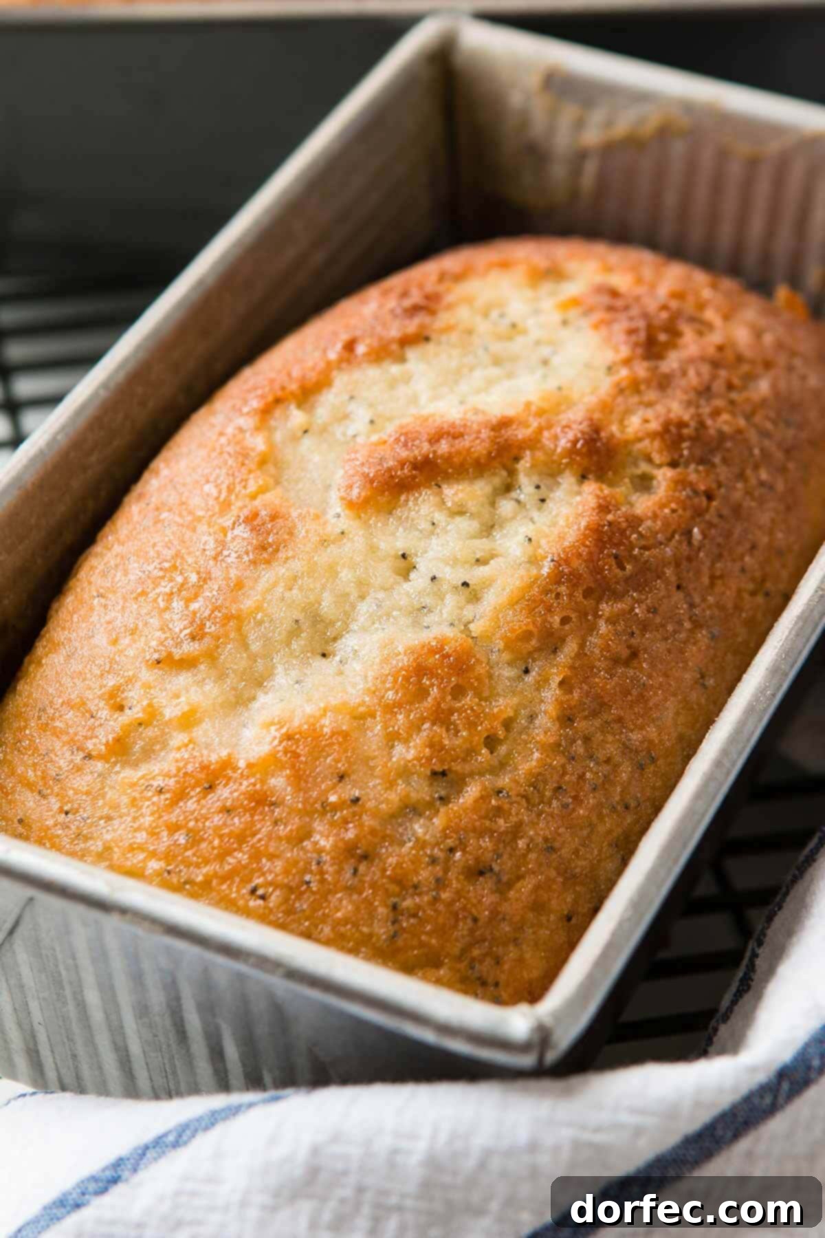 Glazed Poppy Seed Loaf 3 The aroma of lightly glazed poppy seed bread baking fills your home with a comforting, inviting scent.